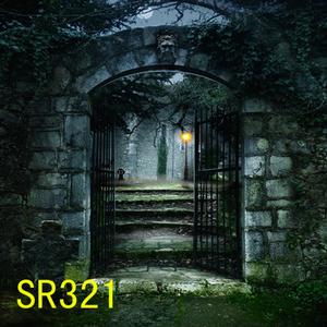 10'x10' SR321
